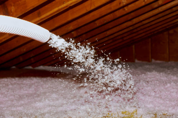 Best Insulation Maintenance and Repair in Kennesaw State University, GA